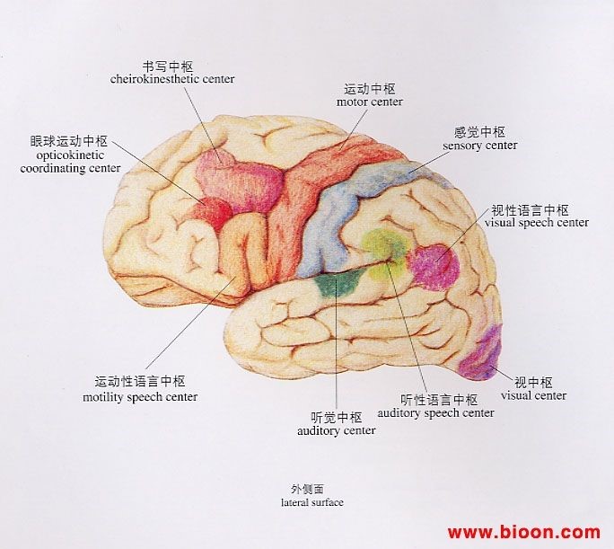 醫(yī)用一次性灌腸器